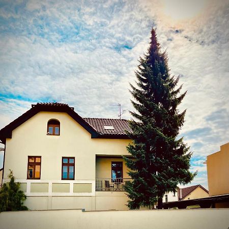 Apartman U Smrku Dvůr Králové nad Labem 外观 照片
