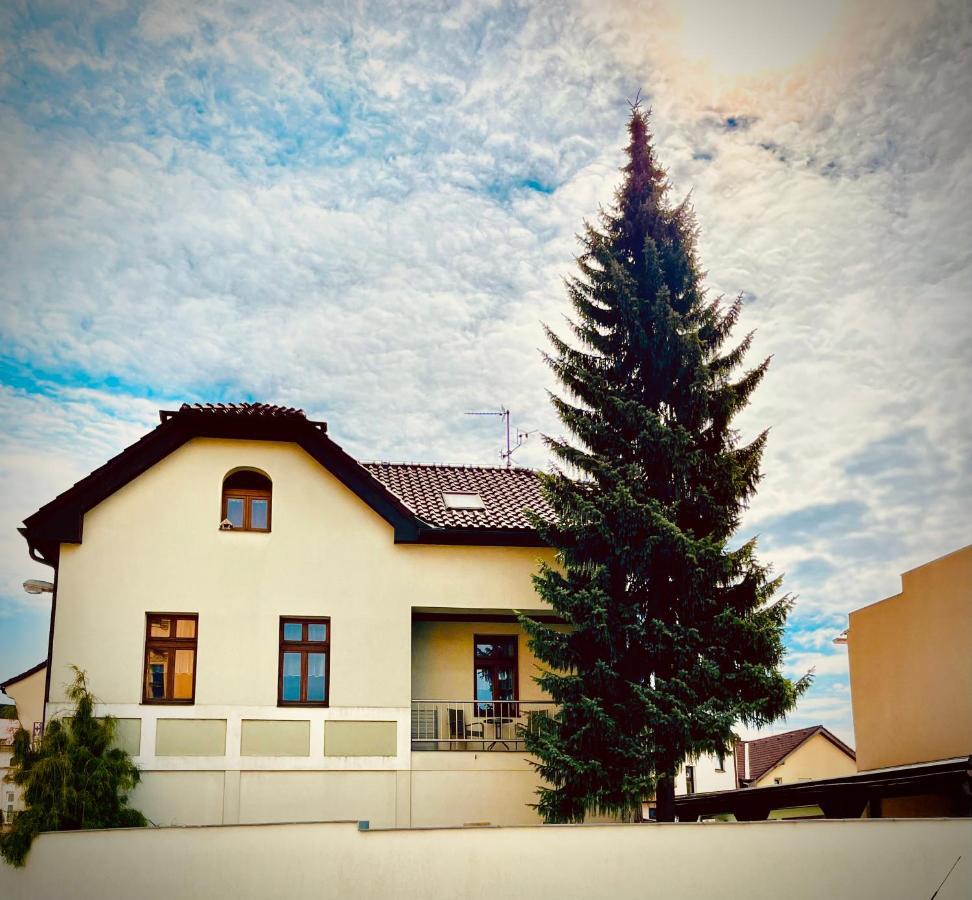 Apartman U Smrku Dvůr Králové nad Labem 外观 照片